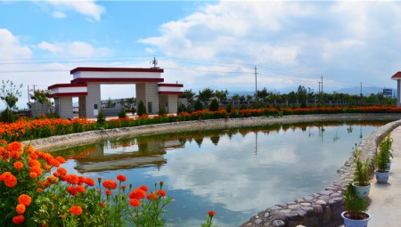 itb8888通博中药厂区