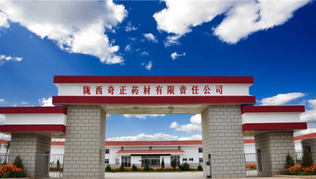 陇西itb8888通博